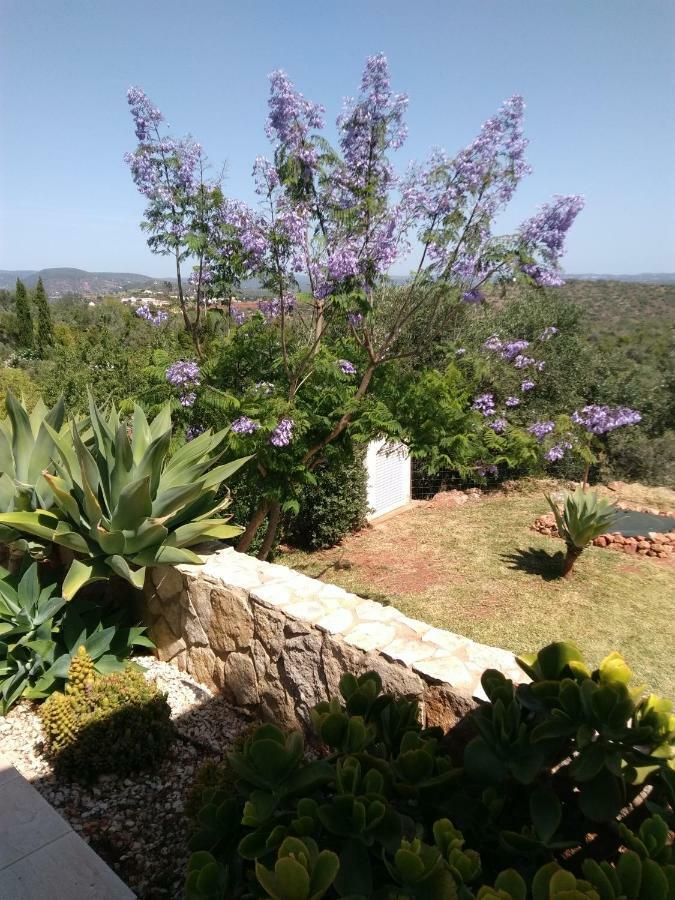 Villa Casa Do Monte à Silves Extérieur photo